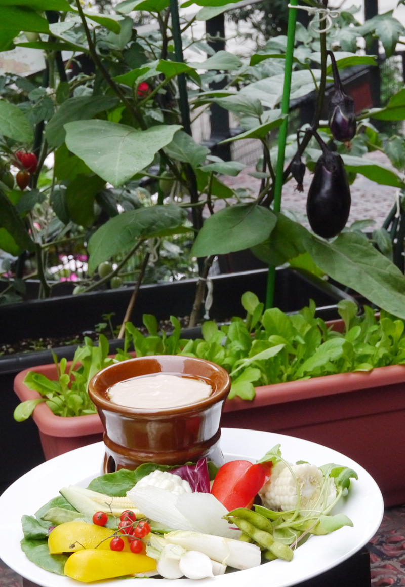 自家栽培野菜