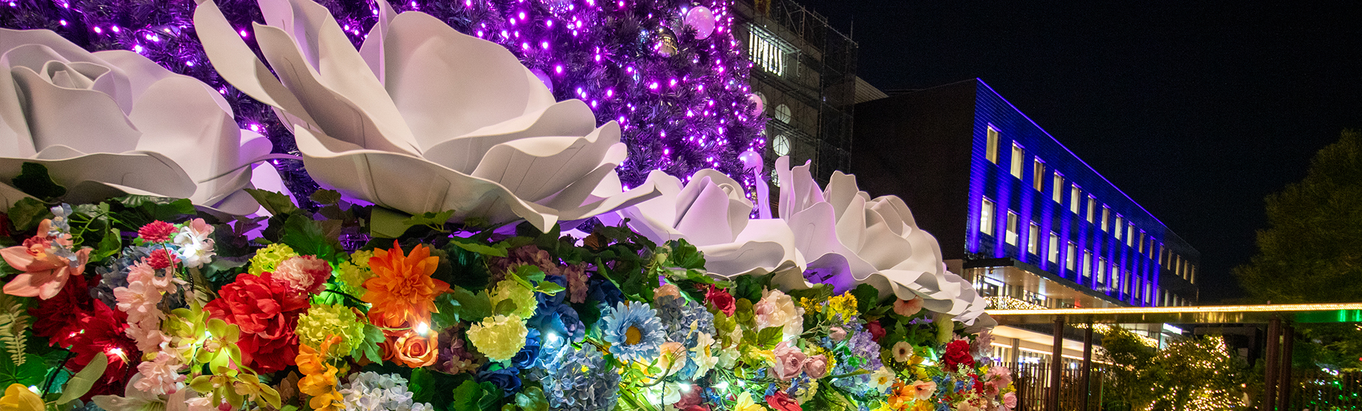 クリスマスイルミネーション2025「Blooming the Future ～未来を、花咲かせよう～」