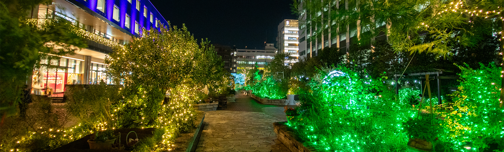 クリスマスイルミネーション2025「Blooming the Future ～未来を、花咲かせよう～」